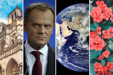 Quiz z wiedzy ogólnej