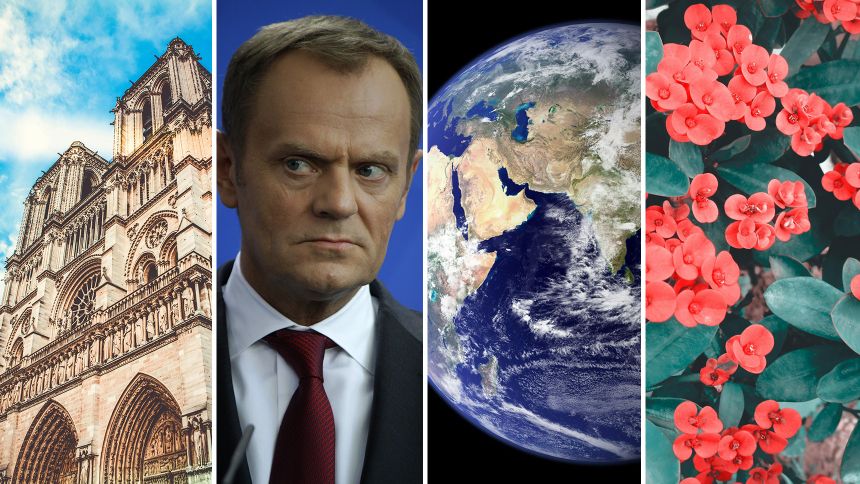 Quiz z wiedzy ogólnej