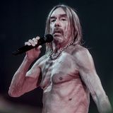 Iggy Pop