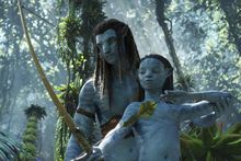 Avatar