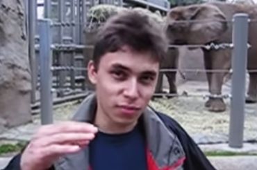 jawed