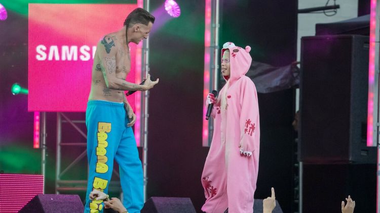 Die Antwoord