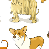 Którego z tych psów wybierzesz? 