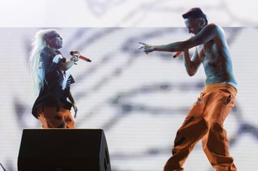 Die Antwoord