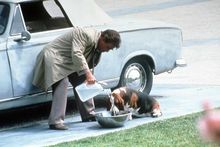 Columbo