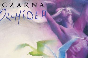 Czarna Orchidea - Neil Gaiman, Dave McKean