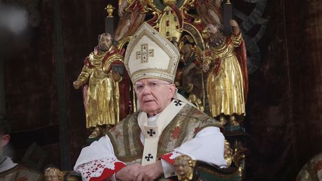 Abp Jędraszewski