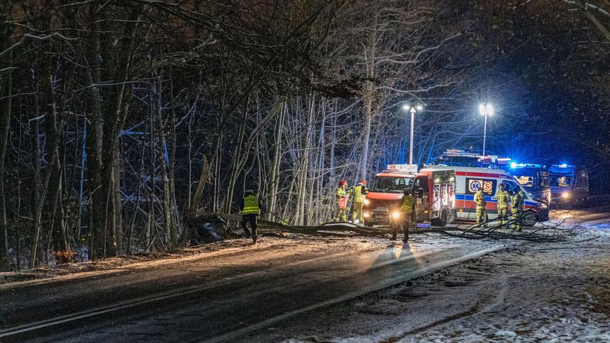 Wypadek na drodze