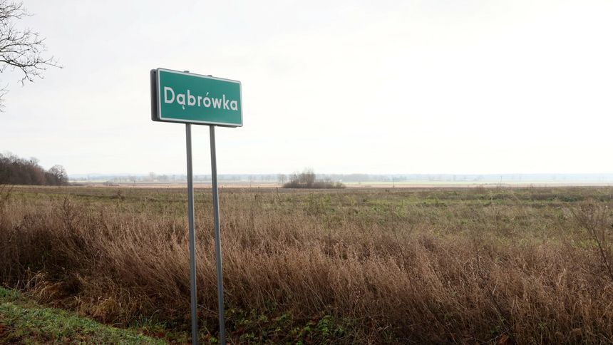 Dąbrówka (zdjęcie ilustracyjne)