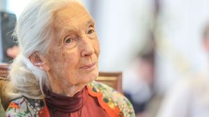 Jane Goodall