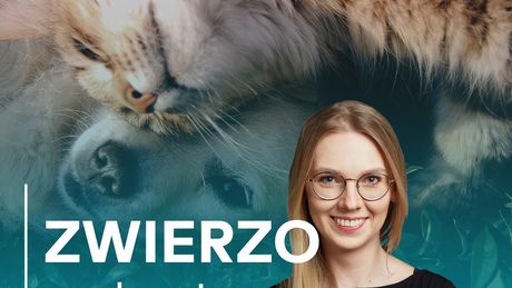 Zwierzopodcast