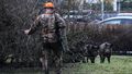 Obowiązkowe badania dla myśliwych? FOT. GRZEGORZ OLKOWSKI / POLSKA PRESS