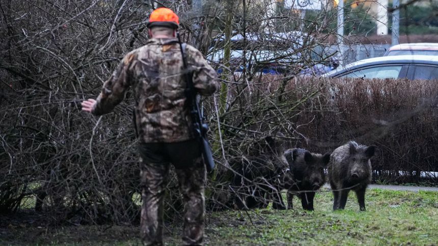 Obowiązkowe badania dla myśliwych? FOT. GRZEGORZ OLKOWSKI / POLSKA PRESS