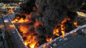 Dariusz Borowicz / Agencja Wyborcza.pl