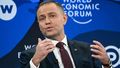 Prezydent Karol Nawrocki w Davos