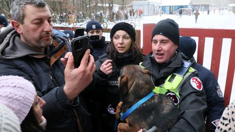 Schronisko w Sobolewie zostało zamknięte. Co dalej z psami?