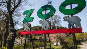 Gdańskie zoo czeka na jesienne smakołyki od zwiedzających