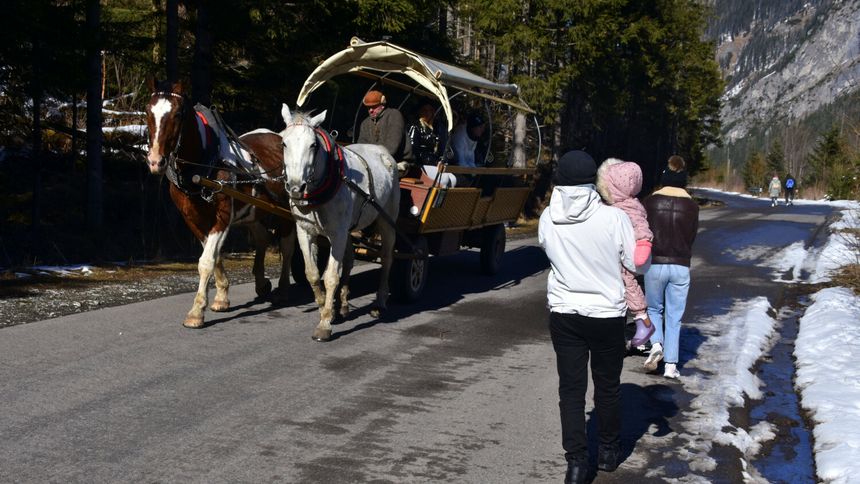 Konie na trasie do Morskiego Oka