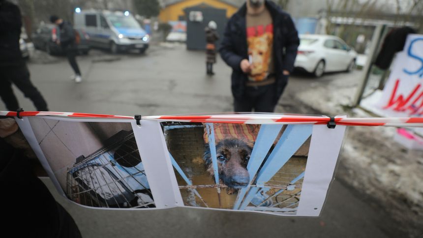 Bytom, protest przed schroniskiem dla zwierząt