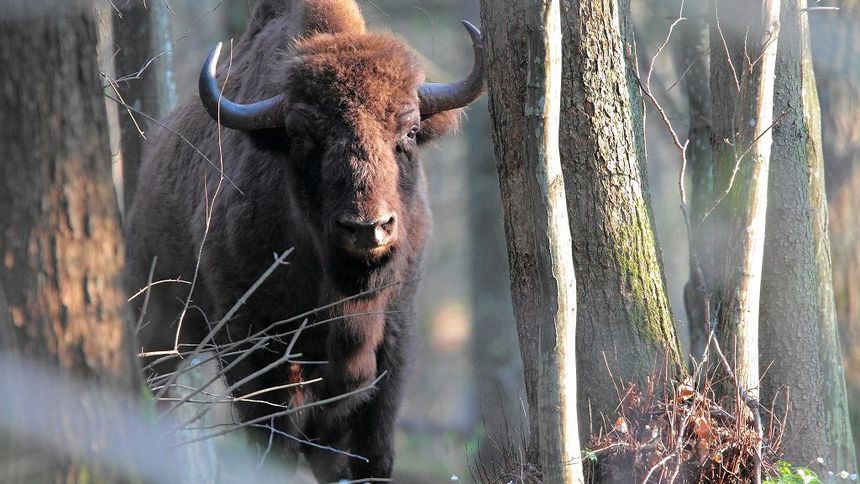|