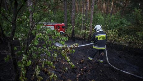 |