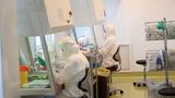 |