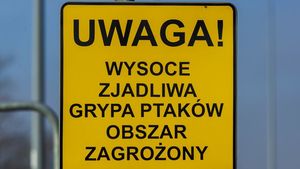 |
