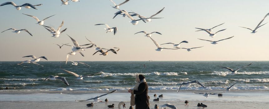 Plaża w Gdyni 