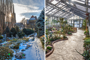 Ogród Botaniczny Uniwersytetu Wrocławskiego