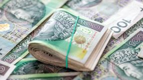 Plik polskich banknotow