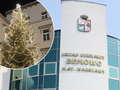 Urząd Dzielnicy Bemowo rozda choinki