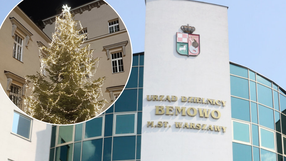 Urząd Dzielnicy Bemowo rozda choinki