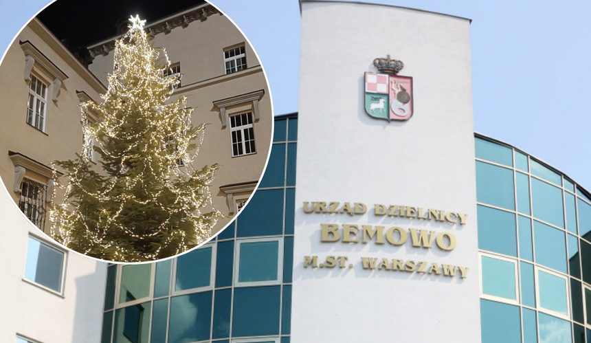 Urząd Dzielnicy Bemowo rozda choinki