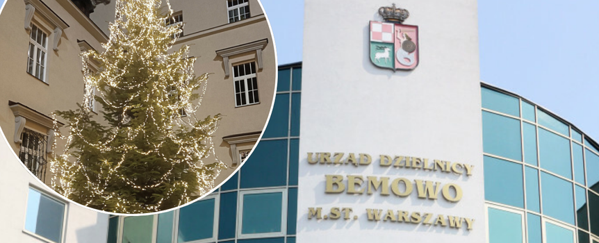 Urząd Dzielnicy Bemowo rozda choinki