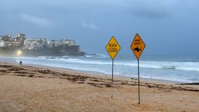 Sydney zamyka plaże z powodu serii ataków rekinów