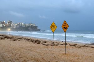Sydney zamyka plaże z powodu serii ataków rekinów