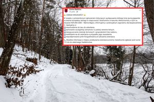 Dziki kot grasuje na Pomorzu