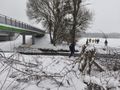 Włodawa. Tragiczny finał poszukiwań 37-latki