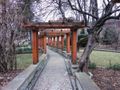 Park Zdrojowy w Piwnicznej-Zdroju