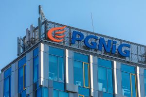pgnig
