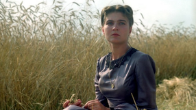 Iwona Katarzyna Pawlak