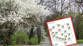 Początek wiosny w Polsce