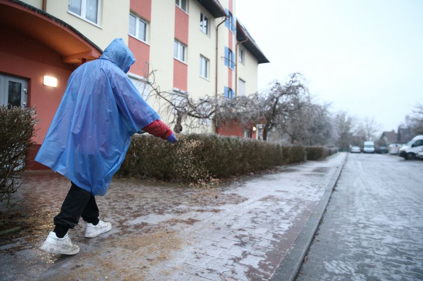 gołoledź