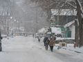 Krynica-Zdrój