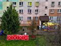 Sanok
