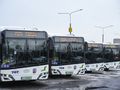 Nowe autobusy MZK