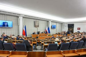 Posiedzenie Senatu ws. KRS