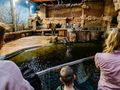 ZOO Wrocław