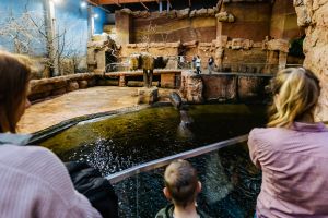 ZOO Wrocław