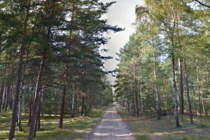 Nieutwardzony fragment drogi wojewódzkiej "133" w Wielkopolsce